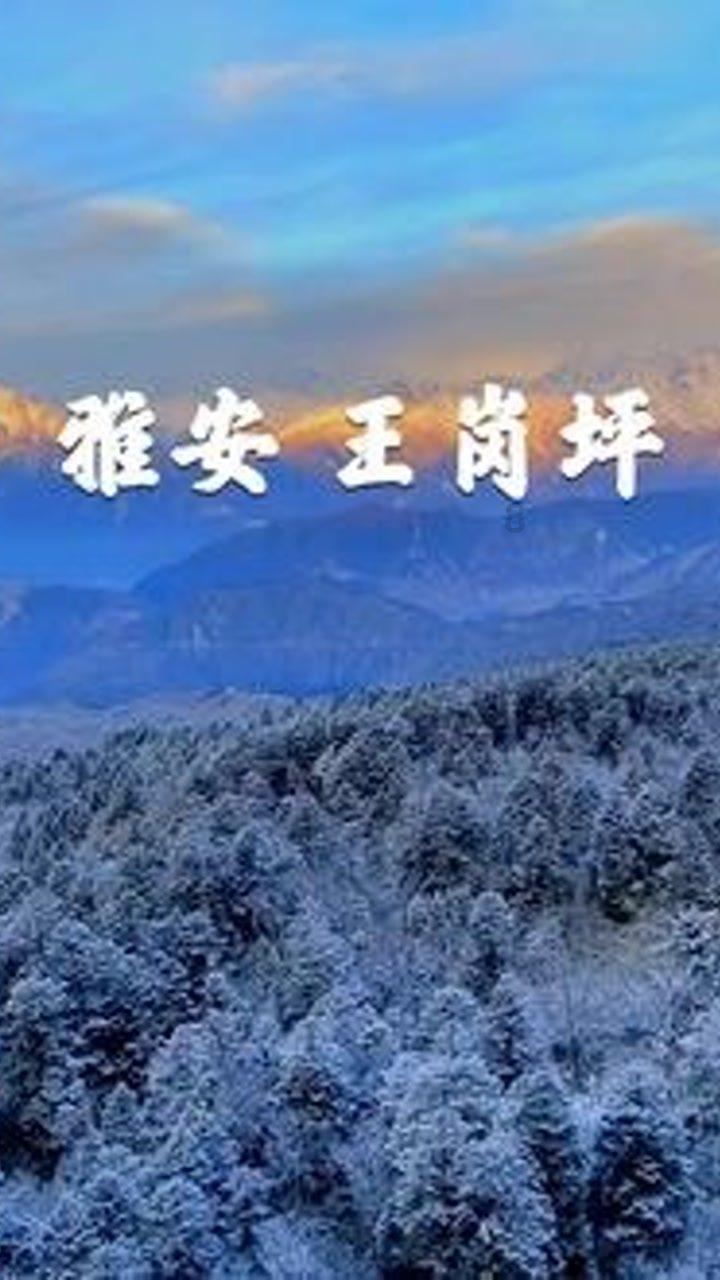 天涯明月刀